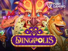 Casino slots software43